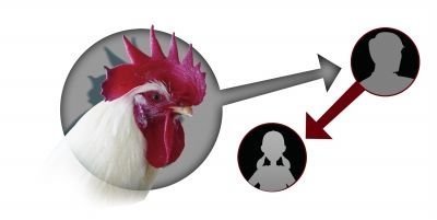 江蘇省疾控中心：已發現H7N9有限人傳人證據