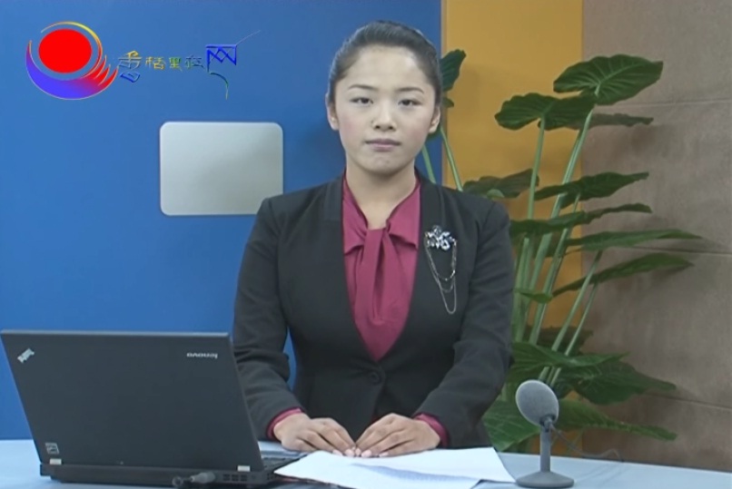 一中山百余棵小松樹(shù)慘遭砍伐