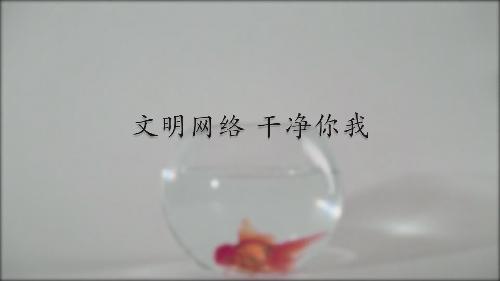 凈網