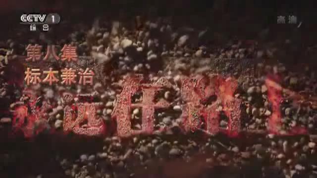 大型電視專(zhuān)題片《永遠(yuǎn)在路上》第八集《標(biāo)本兼治》