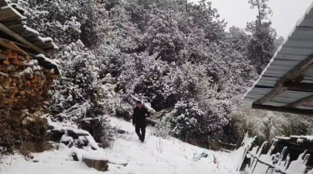 【網絡中國節?春節】雪后的霞若鄉施壩村美如畫