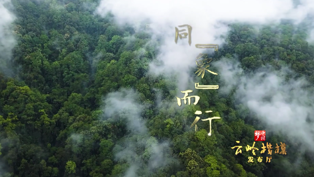 《云嶺楷模發布廳》：同象而行