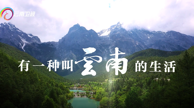 有一種叫云南的生活丨來云南找尋真，遇見美！
