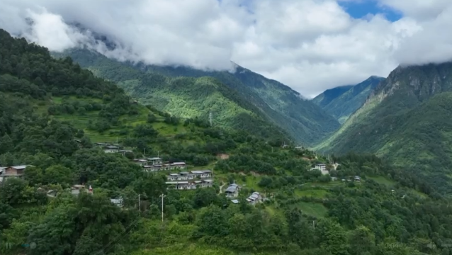 維西縣中路鄉臘八山村：致富路上蘭花香