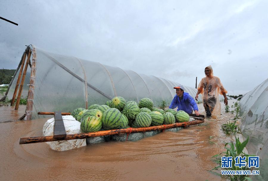 #（生態）（8）浙江入梅普降大雨