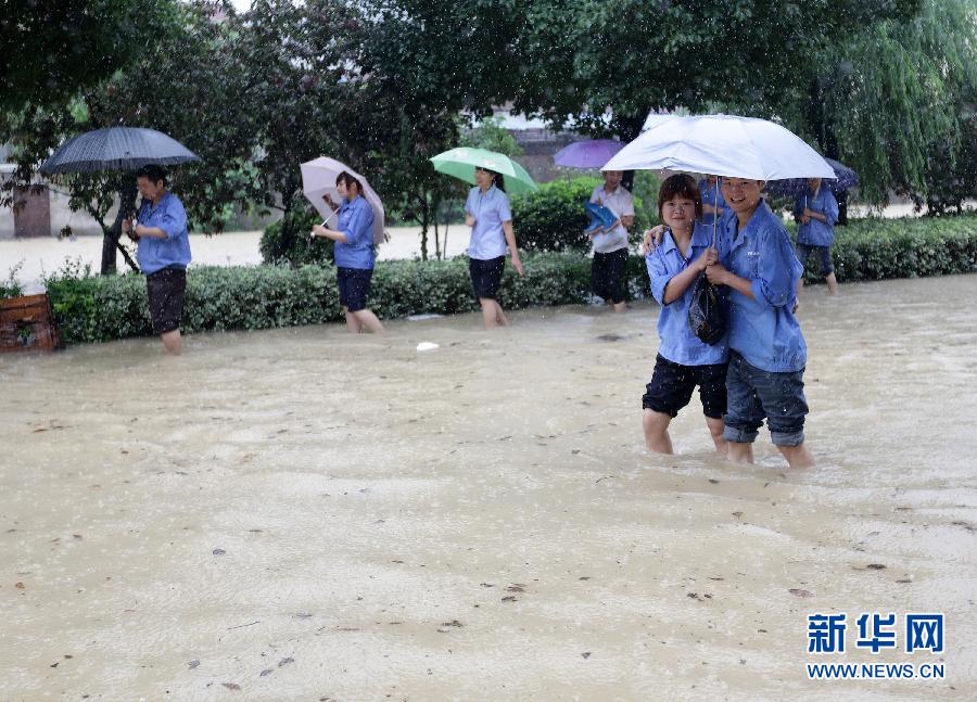 #（生態）（6）浙江入梅普降大雨