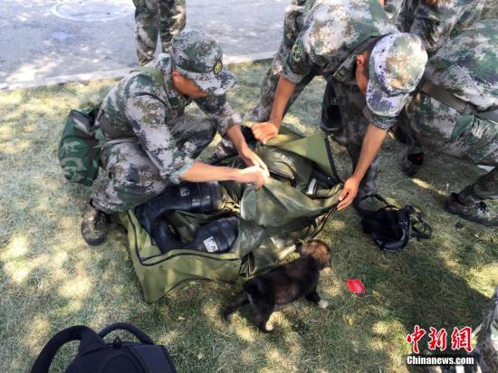 8月16日，被北京軍區(qū)某防化團(tuán)戰(zhàn)士在天津港爆炸事故核心區(qū)救出的幸存小狗“生化”與恩人們寸步不離。 <a target=&apos;_blank&apos; href=&apos;http://www.chinanews.com/&apos;><p align=