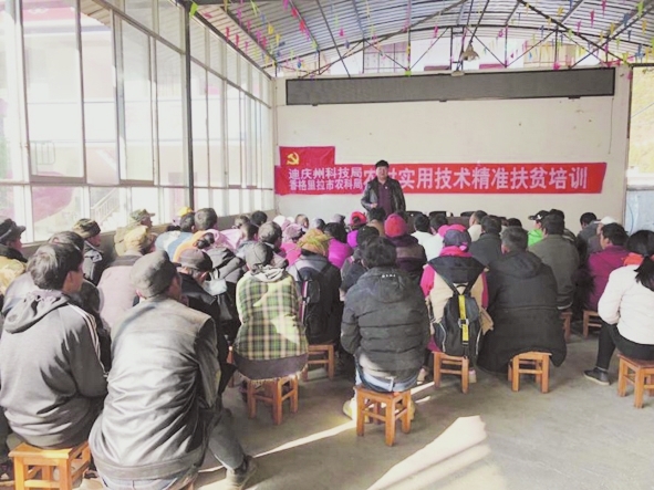 科技培訓 農民受益
