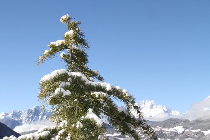 雪后的德欽，隨手一拍就是風景