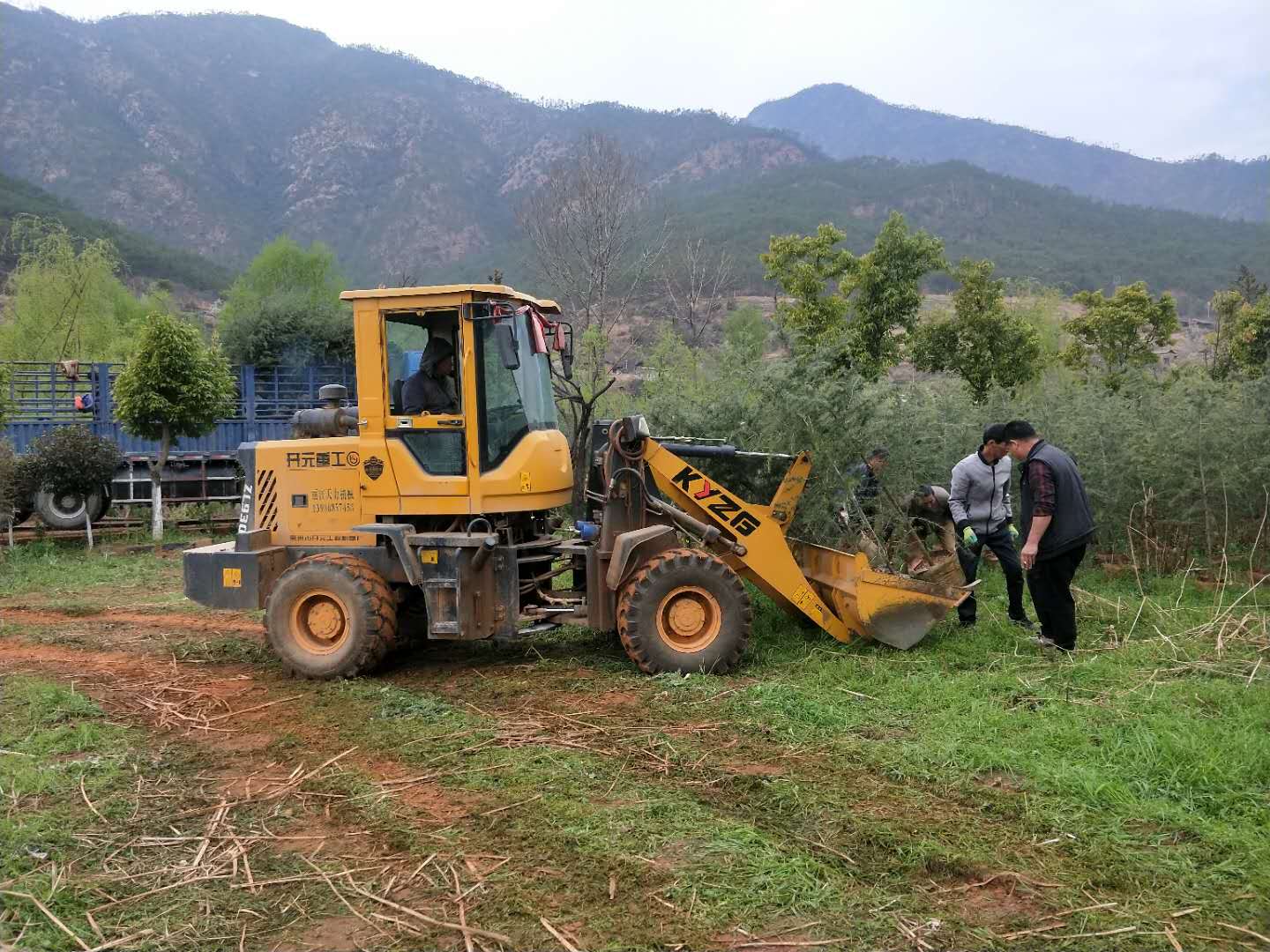 建設生態寺院，綠化生態環境