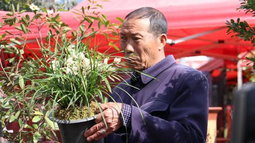 維西蘭市走俏迎來發展新契機