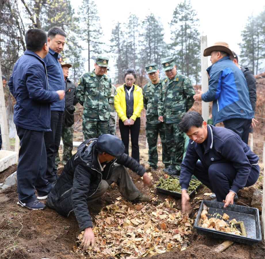 武警上海總隊、云南總隊在維西開展幫扶調研