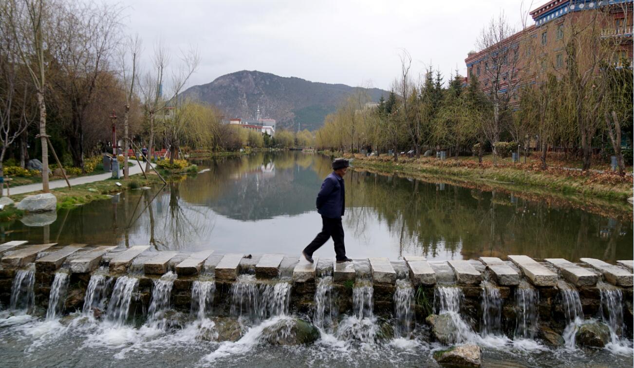 在龍潭湖公園景觀橋上散步