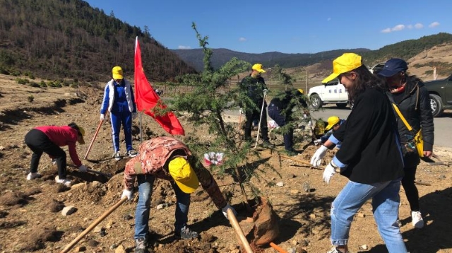 我為高原添新綠，守護青山不言苦