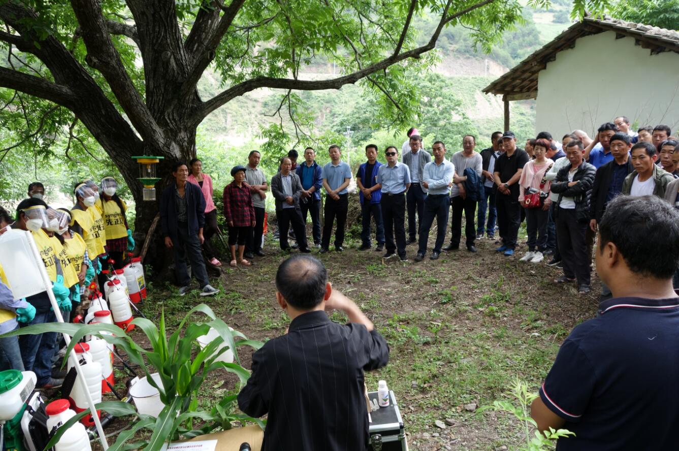 我州全力監測防控草地貪夜蛾疫情