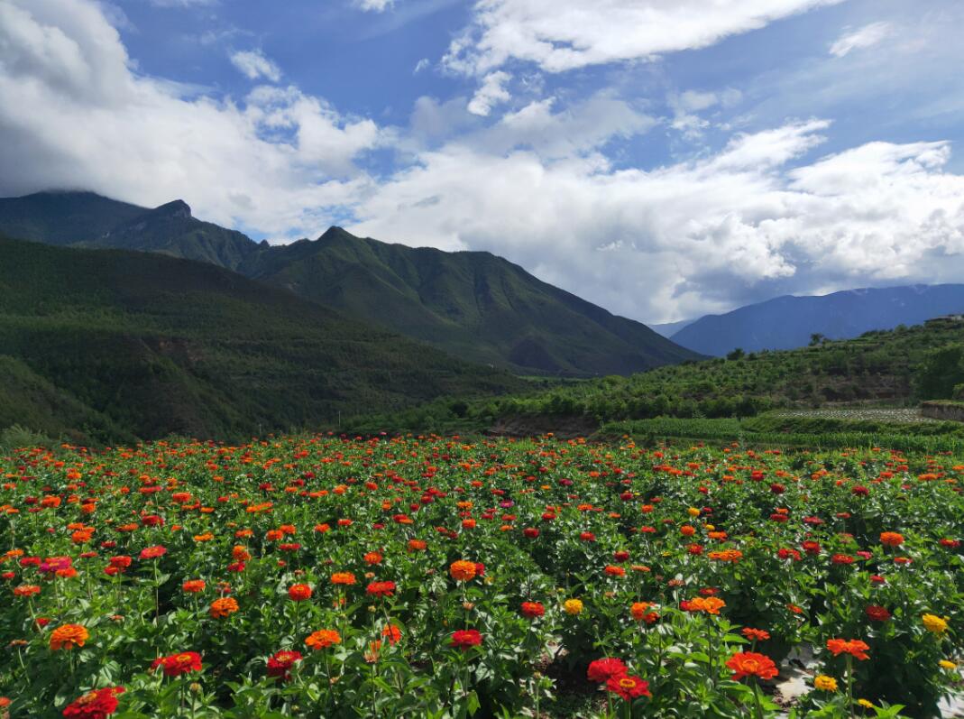 湯滿村持續推進鄉村旅游振興本地經濟戰略