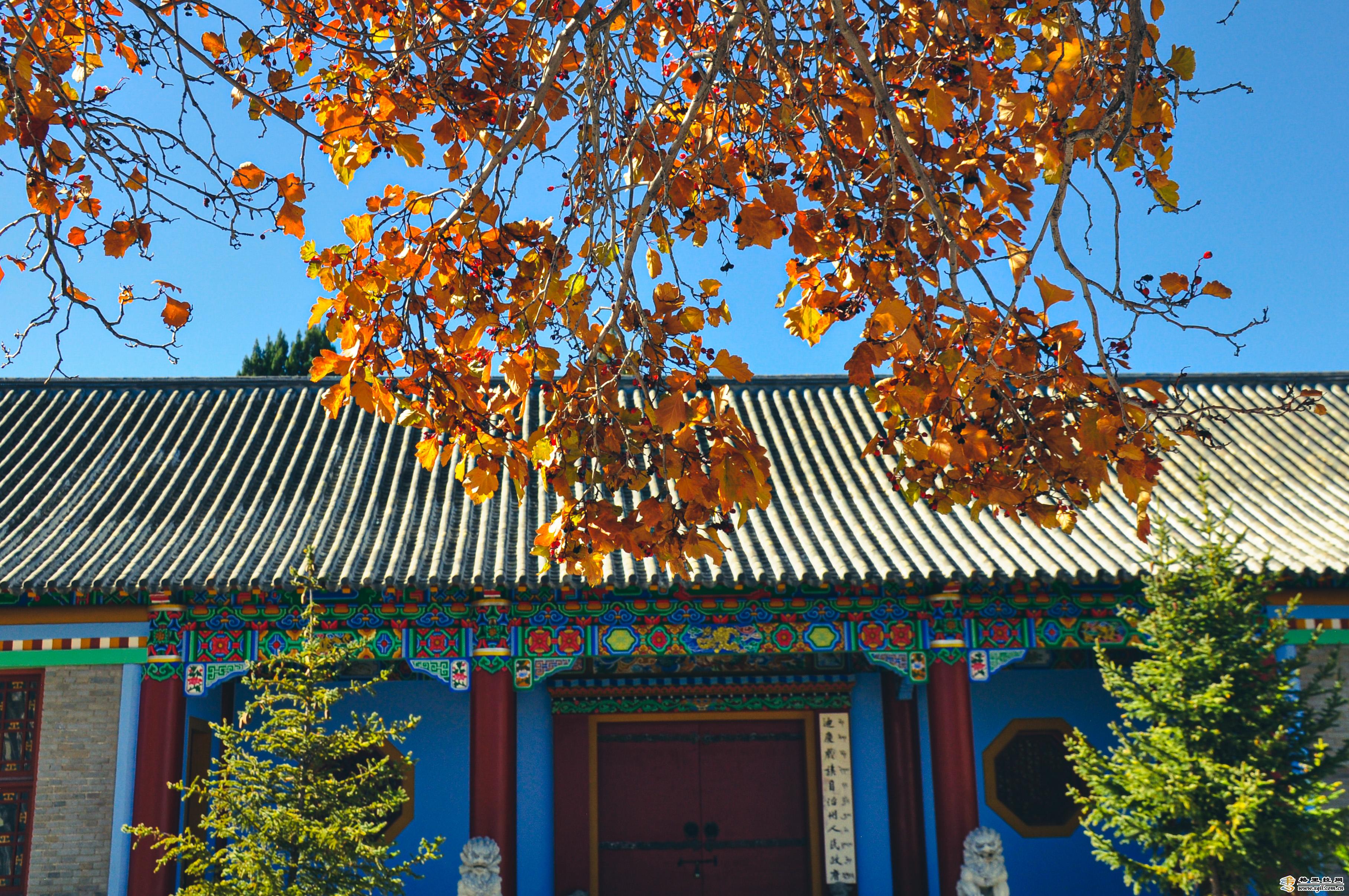 香格里拉又一秋冬打卡地，千萬別錯過