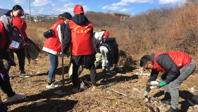 共青團香格里拉市委開展愛國衛生志愿服務活動