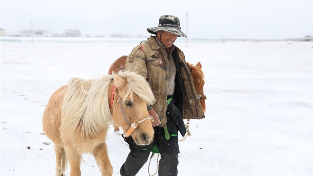 來了！來了！2021年香格里拉第一場雪終于來了！