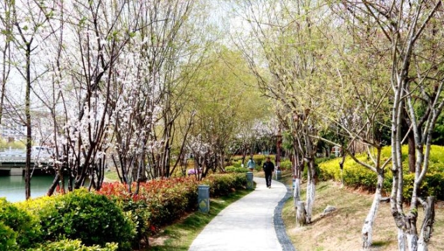 香格里拉市全力打造高原生態森林城市