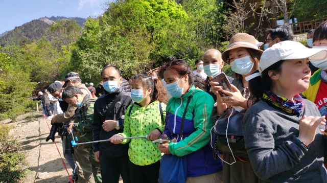 香格里拉滇金絲猴國家公園省內游客成主力