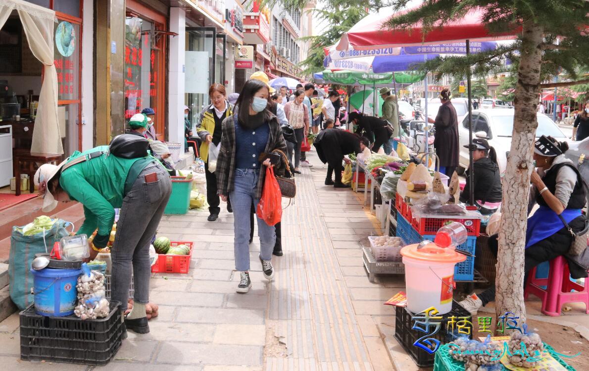 香格里拉時蔬和菌類搶鮮上市，備受市民青睞