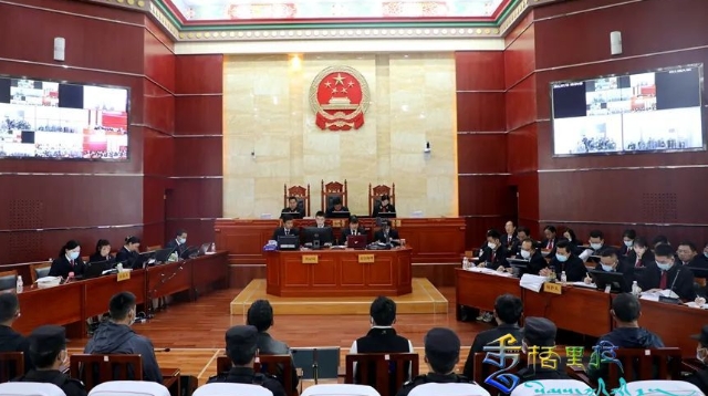 迪慶中院公開開庭審理被告人李某明、李某勇等二十二人涉嫌盜竊罪一案