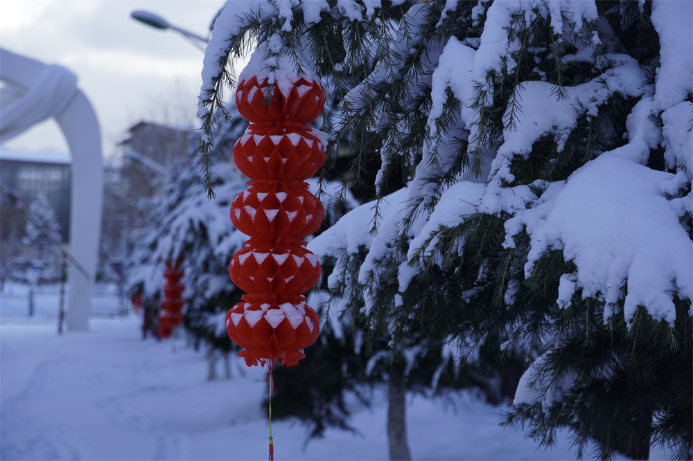 【網(wǎng)絡(luò)中國節(jié)?春節(jié)】瑞雪兆豐年！迪慶下雪了！