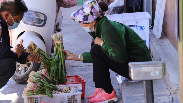 @吃貨們！香格里拉野菜上市了！快來嘗鮮