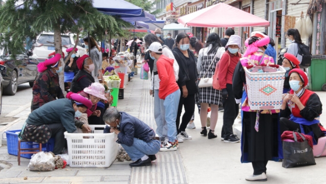 香格里拉有序恢復正常生產生活秩序
