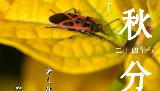 秋分至，莫負好時光