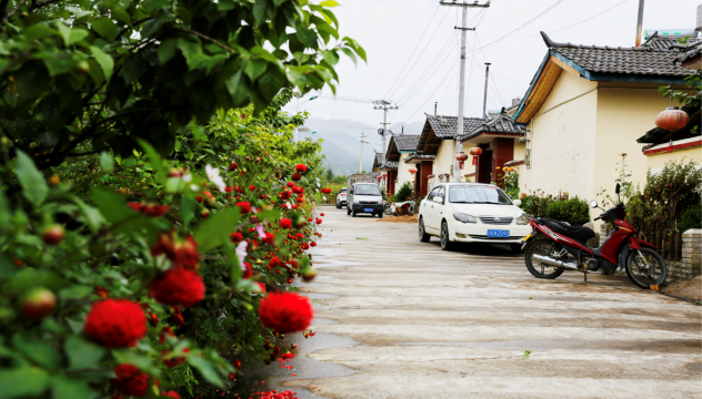 迪夏村民小組：生態移民新村景色美