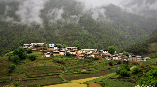 迪慶的鄉村美景 無需濾鏡