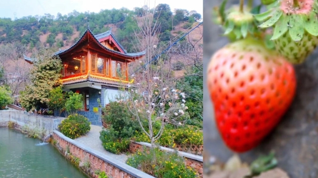 看美景，吃美食五家仁等你來