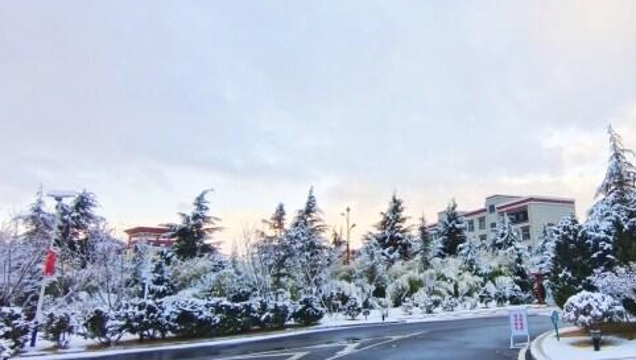 一夜春雪，詩意了迪慶高原