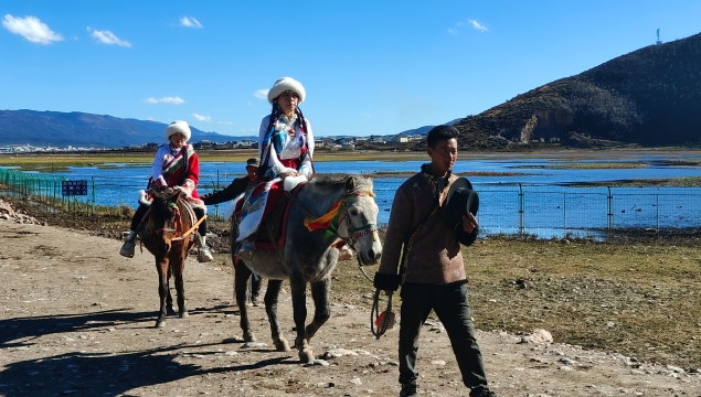 納帕海景區旅游熱度不減