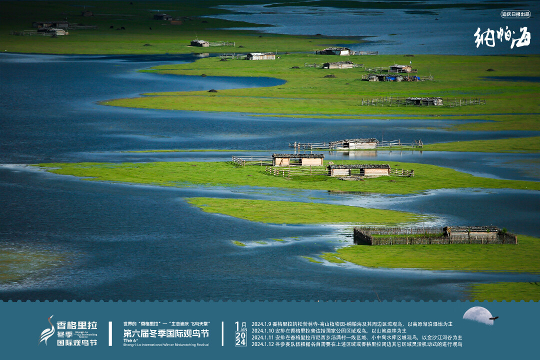 香格里拉冬季國際觀鳥節觀鳥點 | 納帕海