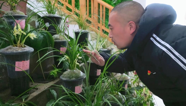 2024香格里拉第九屆春季花展在香格里拉高山植物園展覽館開(kāi)幕