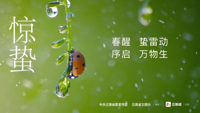 二十四節氣之驚蟄