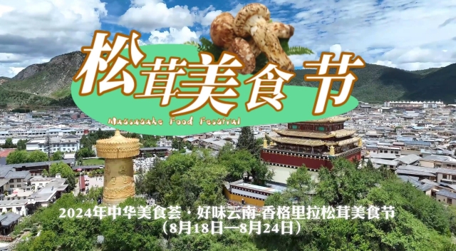 “中華美食薈·好味云南——香格里拉松茸美食節(jié)”等你來嘗鮮！