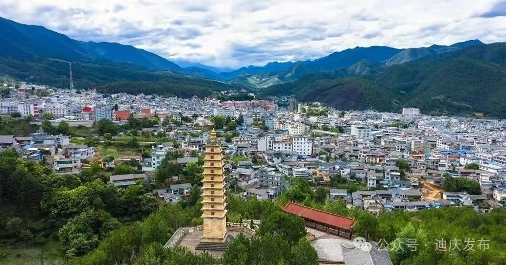“三元共治”繪就鄉村治理新畫卷——保和鎮保和村黨總支引領基層治理典型案例