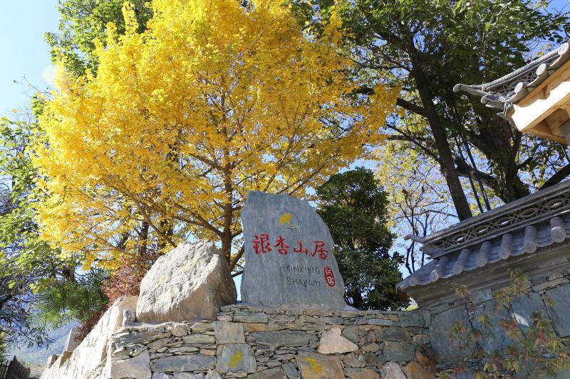 【建設社會主義現代化新迪慶一日一播報】中國農業銀行迪慶分行——集幫扶之智 聚金融之力 繪振興之景