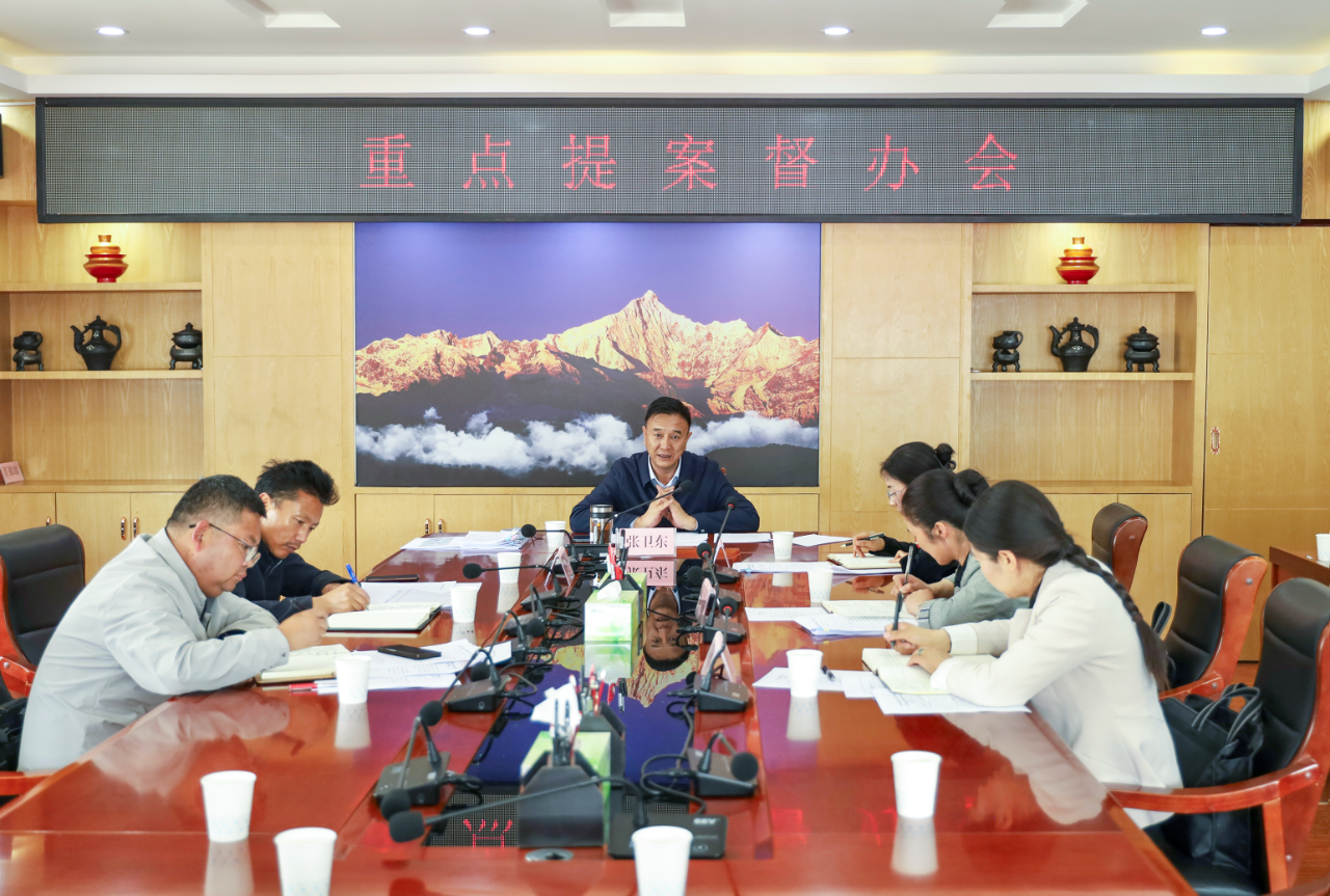 張衛東主持召開重點提案督辦會