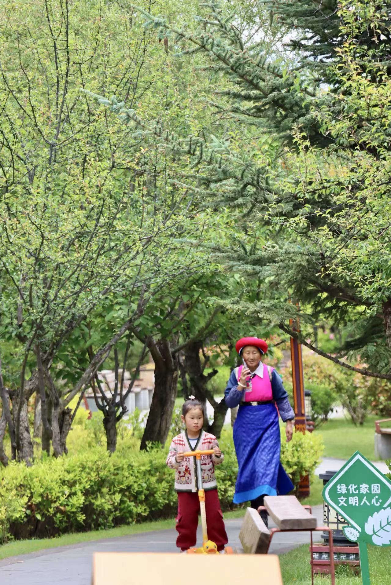 仲夏香巴拉公園繁花織錦 市民游客共享香格里拉愜意時光