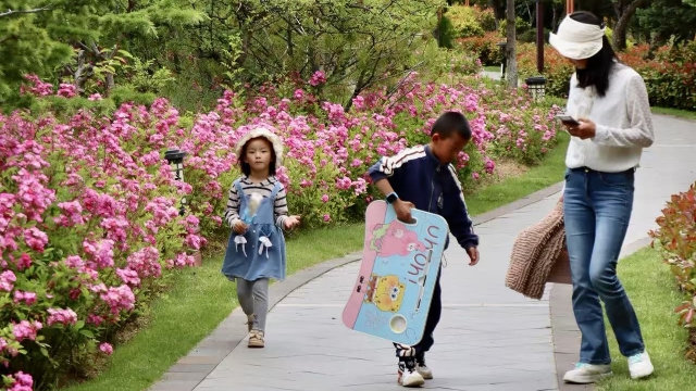 仲夏香巴拉公園繁花織錦 市民游客共享香格里拉愜意時(shí)光