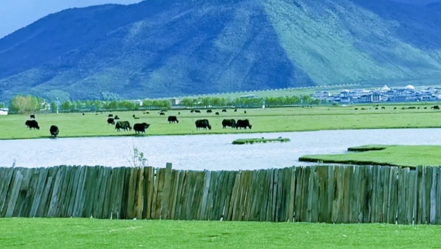暑期“熱度”不一樣，香格里拉剛好19℃！