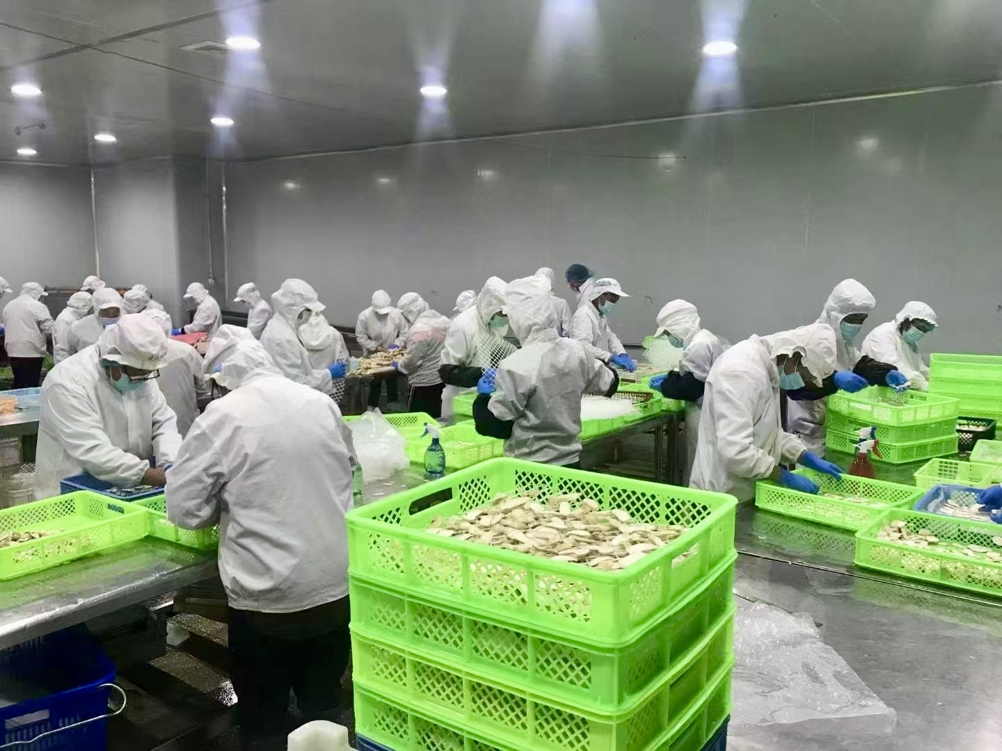新時代 新征程 新偉業丨50載深耕鑄就松茸產業傳奇！迪慶這家企業讓山珍走向世界，讓鄉親扎根家鄉