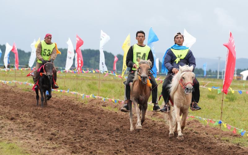 小中甸傳統賽馬競逐 民俗文旅助力鄉村振興