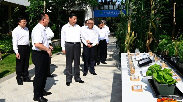 習近平：只有攥緊中國種子，才能端穩中國飯碗