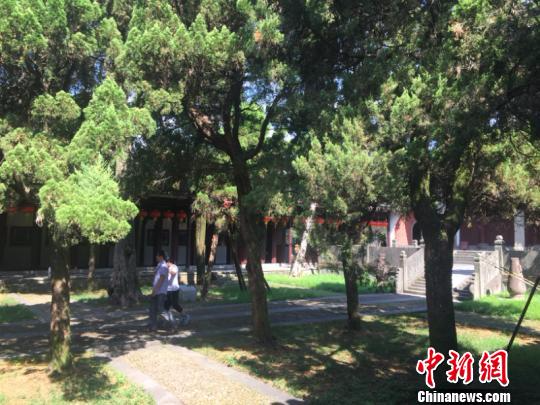 儒風雅韻下的浙江衢州：傳承千年風華 續(xù)寫瑰麗傳說